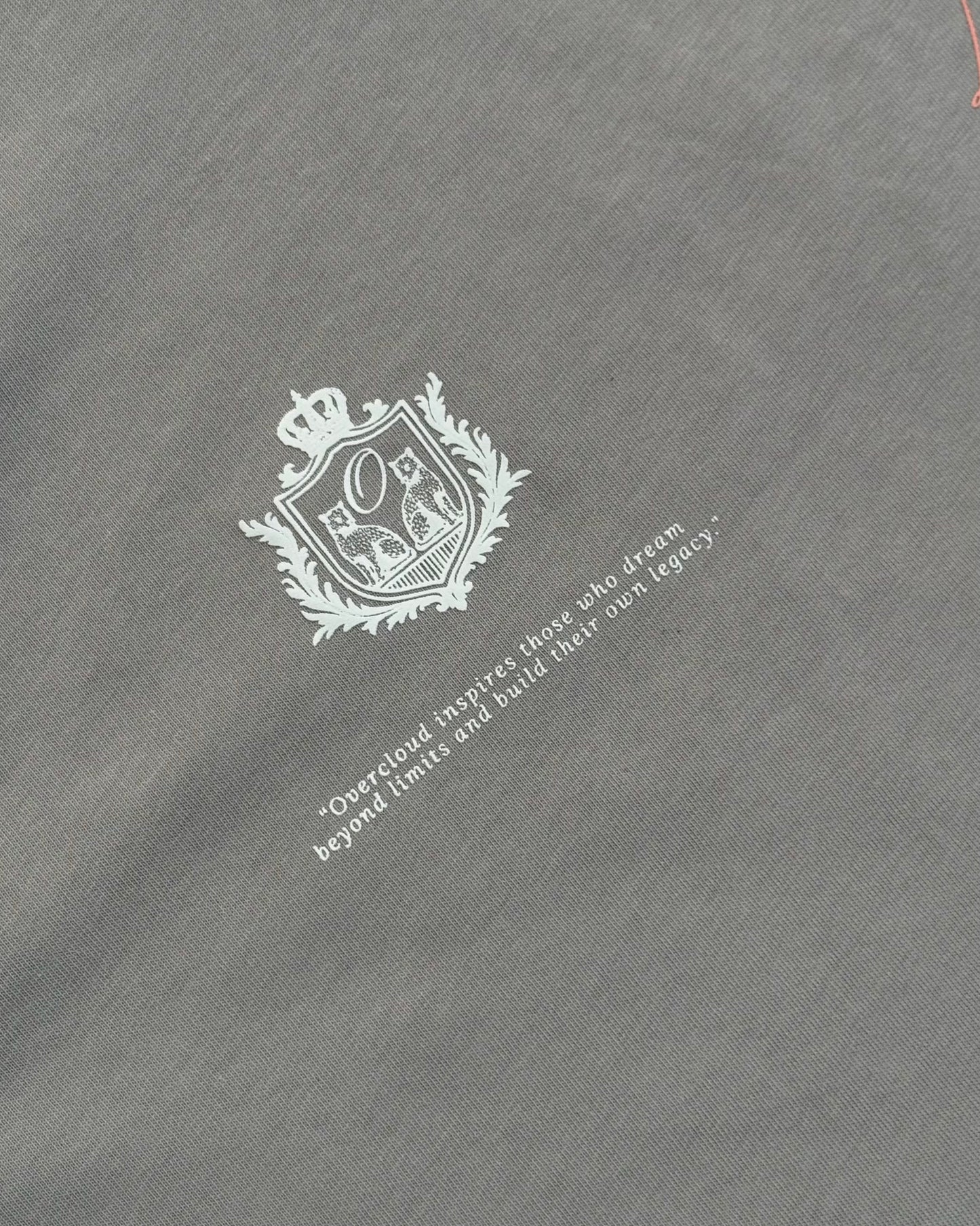 Champions Oversized Tee – Grey